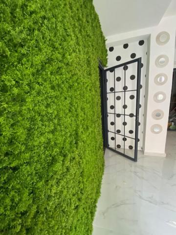 Suite 43 Terrasini Eksteriør bilde